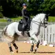 LeMieux Suede Dressage Square